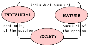 fig1